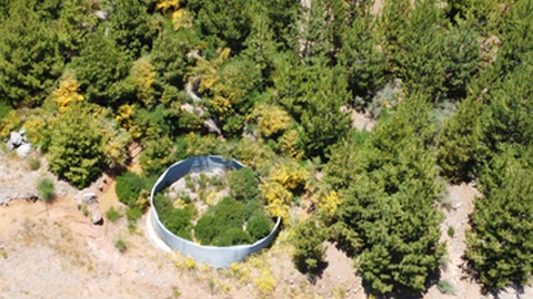 "Pico
Escalvado. Tanque abandonado e tomado por arvores e arbustos", diz a Associação Cartilha Madeirense.&nbsp;