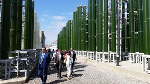 A Unidade de Produção de Biomassa do Porto Santo tem conhecido um processo conturbado, desde o início da sua implementação, em 2008.