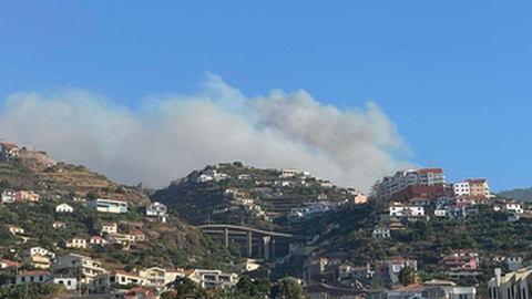 Foto Carolina Rodrigues