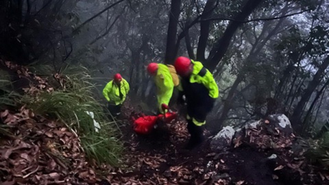 Bombeiros tiveram de recorrer a cordas para conseguir chegar junto da vítima, que terá caído de uma altura com cerca de 50 metros.&nbsp;