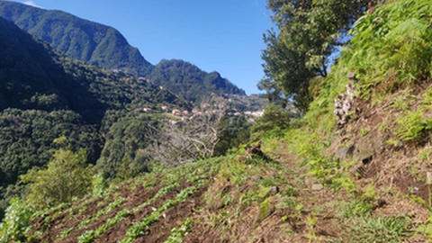 As nuvens deverão surgir sobretudo no período da tarde.&nbsp;
