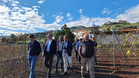 O presidente do Governo Regional, acompanhado de vários elementos do seu Executivo, visitou, esta tarde, a segunda maior exploração de terrantez da Região.&nbsp;