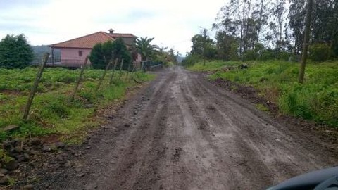 O Caminho da Levada da Serra carece de intervenção há vários anos