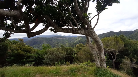 Foto DR/Clube de Ecologia Barbusano