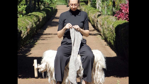 Fotos DR/Museu Etnográfico da Madeira