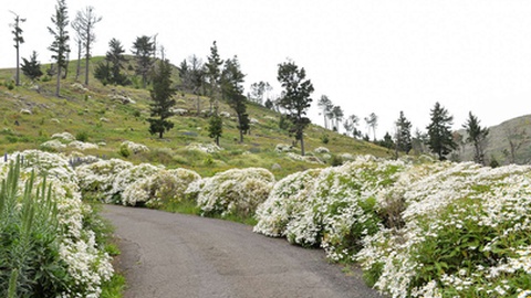 Parque Ecológico do Funchal