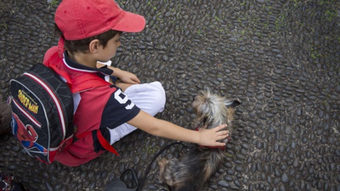 Os animais de estimação podem ser amigos para a vida.&nbsp; &nbsp;Foto Arquivo/Aspress