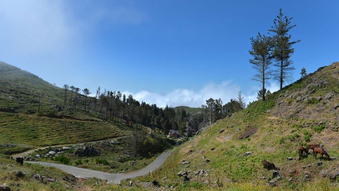 &nbsp;Parque Ecológico do Funchal