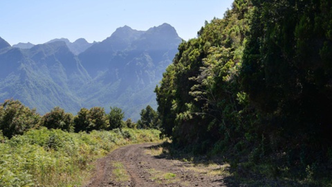 Foto Joana Sousa/Aspress