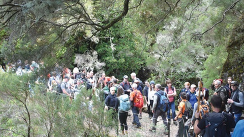 Levada das 25 Fontes.