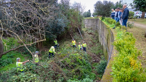 Governante acompanhou acções de conservação e limpeza de ribeiros na Camacha e no Monte