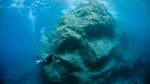 Foto DR/Nuno Vasco Rodrigues