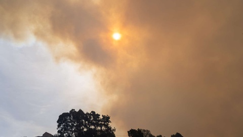 O calor intenso e o vento que se faz sentir nos últimos dias, associados a ignição, têm provocado incêndios de grandes dimensões&nbsp;