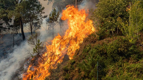 Suspeita de fogo posto em incêndio no Porto Moniz —