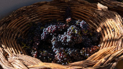 Foto DR/Miguel Espada/Aspress