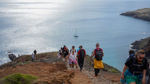 Ponta de São Lourenço