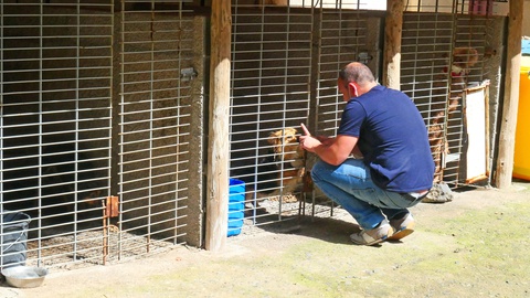 Fotos Hélder Santos/Aspress