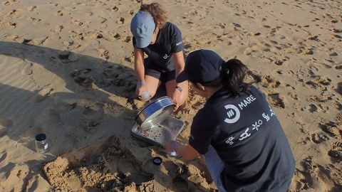 Foram recolhidas amostras em sete praias da Madeira e do Porto Santo.&nbsp;