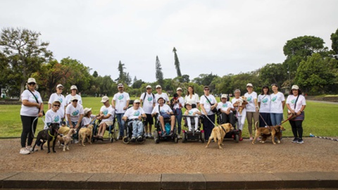 Autarquia promoveu também um passeio matinal com animais do Canil Vasco Gil, no Parque de Santa Catarina