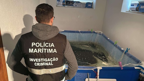 Foto DR/Polícia Marítima