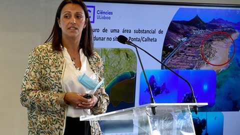 Nádia Coelho, gestora do programa 'Life Dunas'&nbsp;