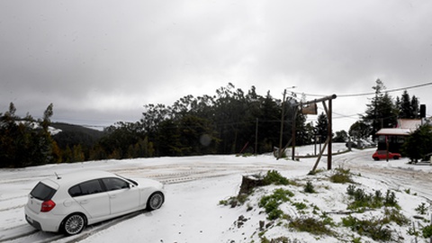 Foto Rui Silva/Aspress