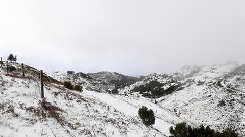 Foto Rui Silva/Aspress