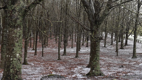 Foi há precisamente uma semana que caiu o maior nevão do Inverno.&nbsp; Foto Rui Silva/Aspress
