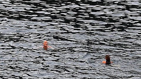 Tal como ontem, Marcelo hoje começou o dia com um mergulho