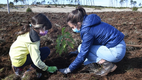 Foto Arquivo/Rui Silva/Aspress