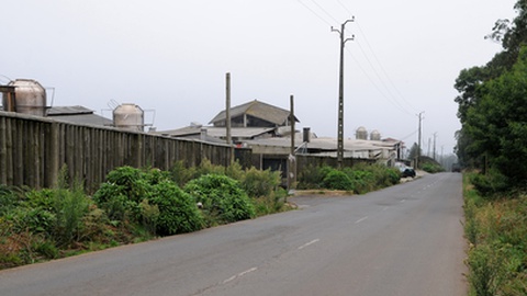 Arquivo DIÁRIO/Teresa Gonçalves