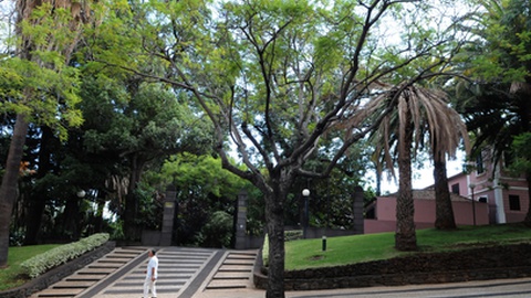 "Pensamos que muita gente vai aderir e muita apitadela há-de aparecer", acredita Fernão Rodrigues.