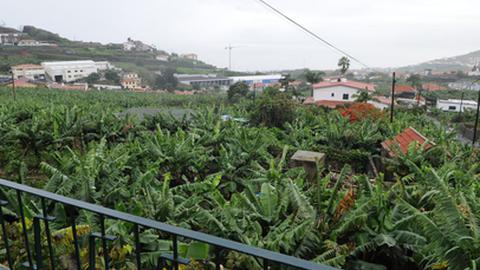 Governo tem a quase totalidade dos terrenos expropriados