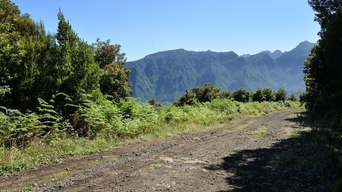 O projecto visava a transformação de um caminho de terra batida
numa via rodoviária pavimentada, entre o sítio das Ginjas, em São Vicente, e o Paul da Serra, atravessando Floresta Laussilva, zona protegida classificada como Rede Natura 2000 e Património da Humanidade
pela UNESCO.