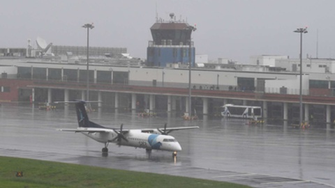 Foto Arquivo DN-Madeira