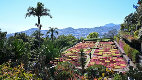 Jardim Botânico&nbsp;