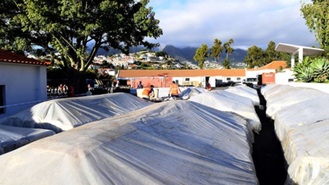 Montagem do fogo-de-artifício&nbsp;