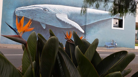 Foto Arquivo/Aspress