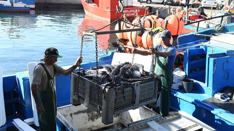 Fotos Arquivo/Aspress