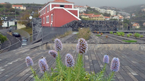 Foto Arquivo/Rui Silva/Aspress