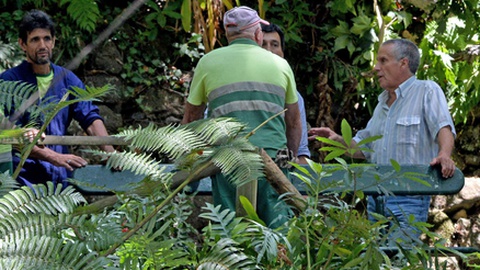 Foto Rui Silva/Aspress