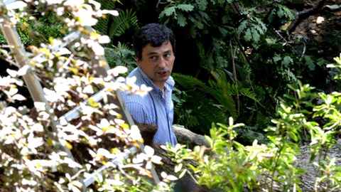 Pedro Ginja quando analisava a árvore, no dia após a sua queda. FOTO RUI SILVA/ASPRESS