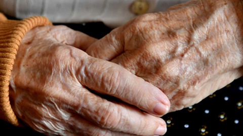 Lares e hospitais são locais propícios ao aparecimento de sarna devido ao tipo de actividade que desenvolvem