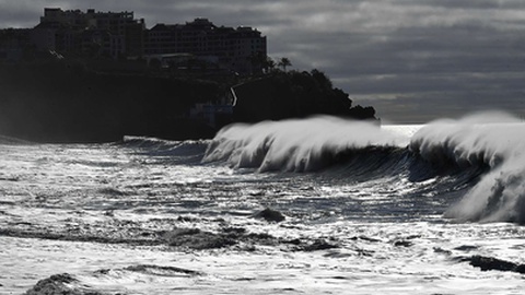 Foto Arquivo/Rui Silva/Aspress