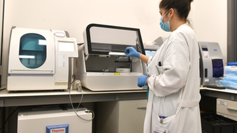 Foto: Rui Silva/Aspress/Arquivo