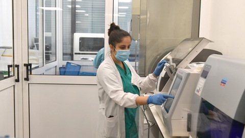 Foto Rui Silva/Aspress