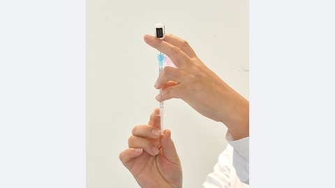 Foto Arquivo/Rui Silva/Aspress