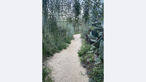 Foto DR/Rute Fernandez