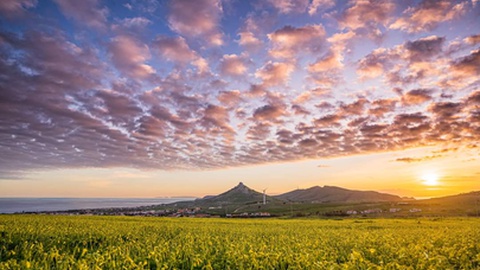 Fotografia
de Pedro Menezes