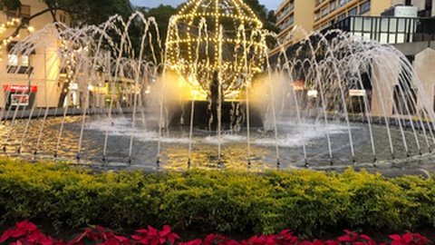 A magia do Natal estará presente na baixa da cidade do Funchal até 9 de Janeiro